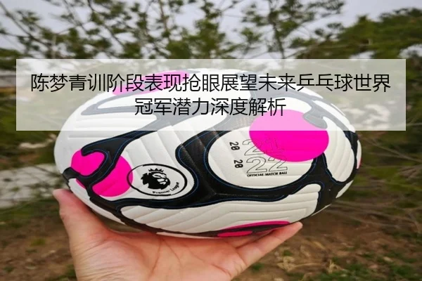 陈梦青训阶段表现抢眼展望未来乒乓球世界冠军潜力深度解析